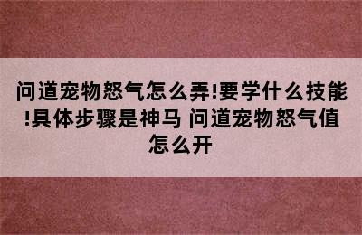 问道宠物怒气怎么弄!要学什么技能!具体步骤是神马 问道宠物怒气值怎么开